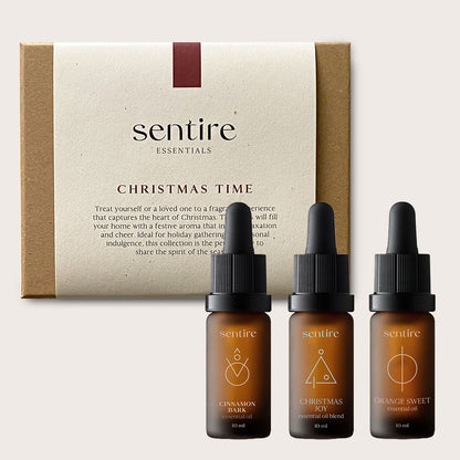 Christmas Time gift box