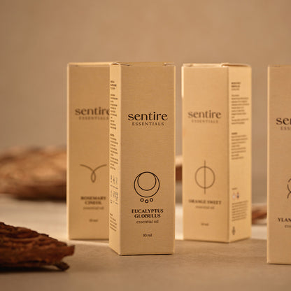 čisto eterično ulje eukaliptus globulus kutija