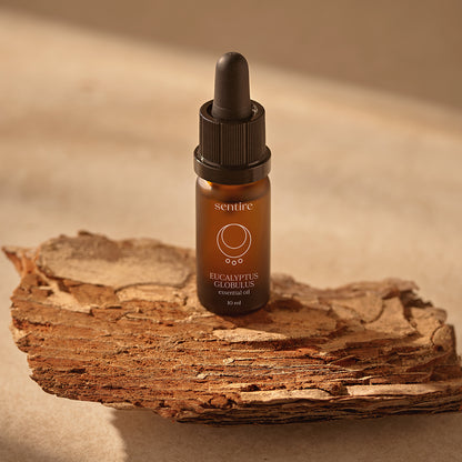 prirodno eterično ulje eukaliptus globulus lifestyle